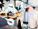 pest control service