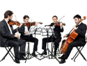orchestra