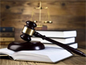 lawyer